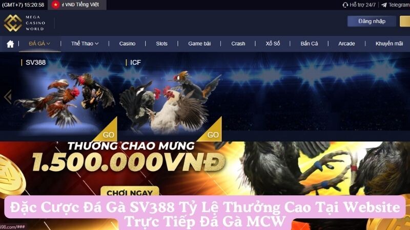 Sảnh đá gà sv388 tại MCW vì sao thu hút đông đảo người chơi đá gà?