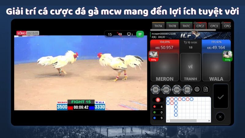 Giải trí cá cược đá gà mcw mang đến lợi ích tuyệt vời