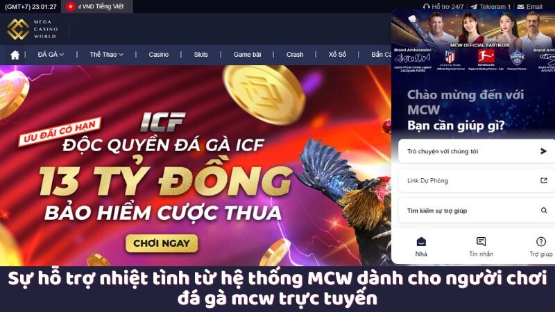 Sự hỗ trợ nhiệt tình từ hệ thống MCW dành cho người chơi đá gà mcw trực tuyến